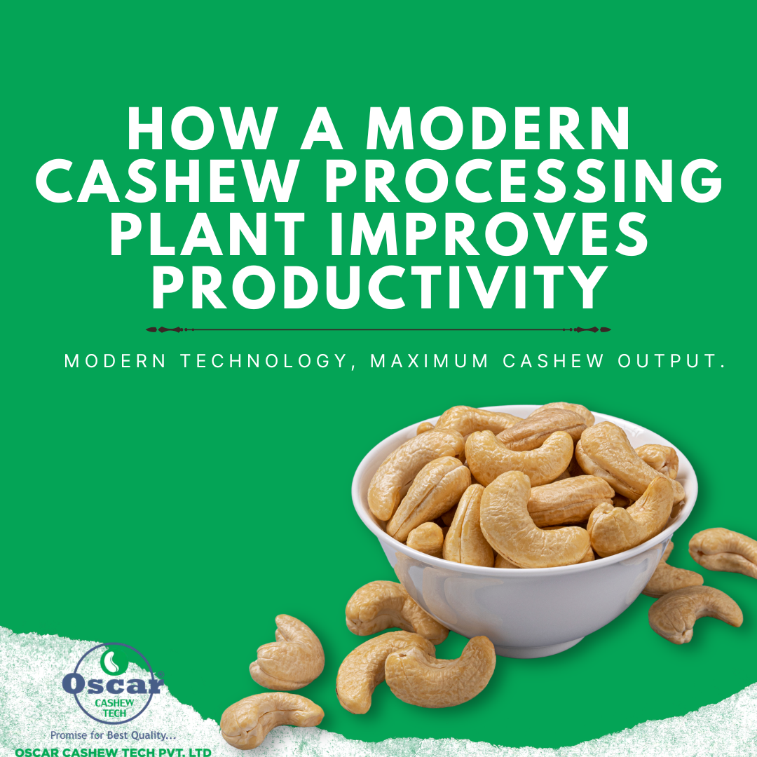 Cashew Processing Plan
