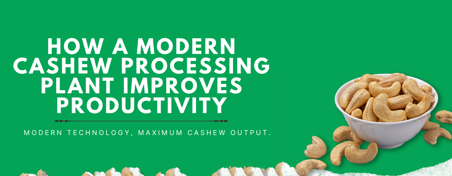 Benefits of Eating Cashews